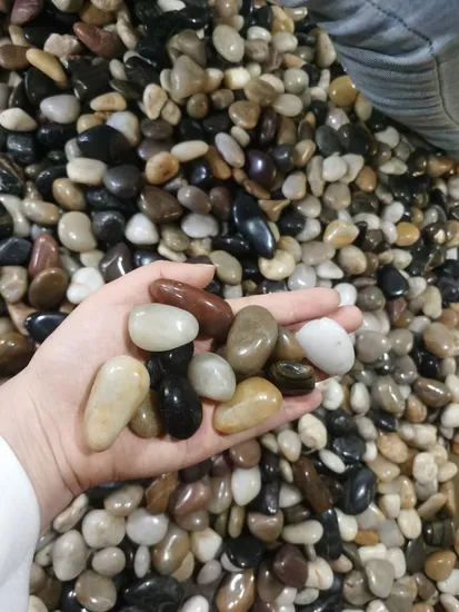 Mixed Color Natural Polished Pebble Cobble Stone River Stone