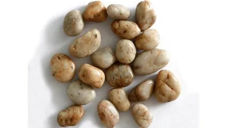 Mesh Mixed Color Flagstone Mosaic Tiles for Wall/Flooring (mm089)