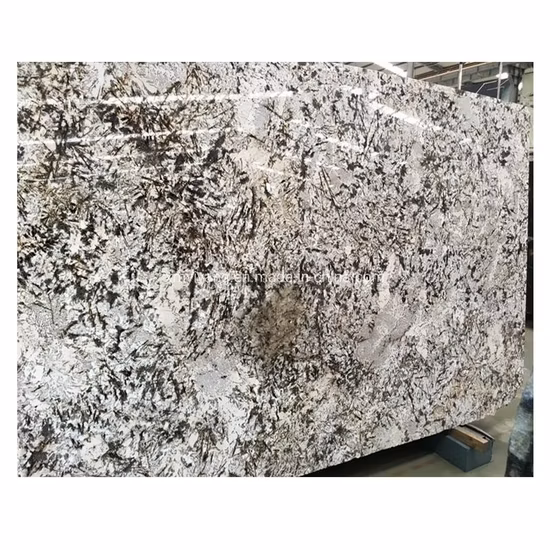 White/Grey/Black/Brown Natural Stone Slabs/Tiles Granite for Countertop/Vanity/Table/Island/Table/Worktop Wholesale